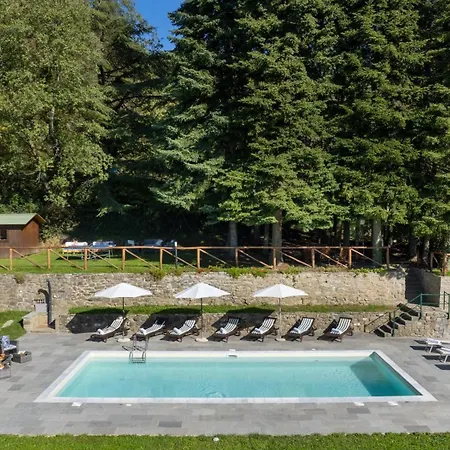 La Rassinata 8, Emma * Arezzo